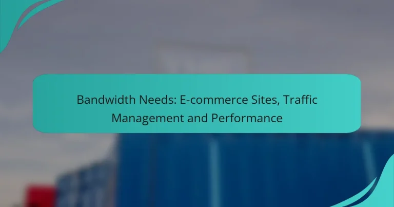 Bandwidth Needs: E-commerce Sites, Traffic Management and Performance