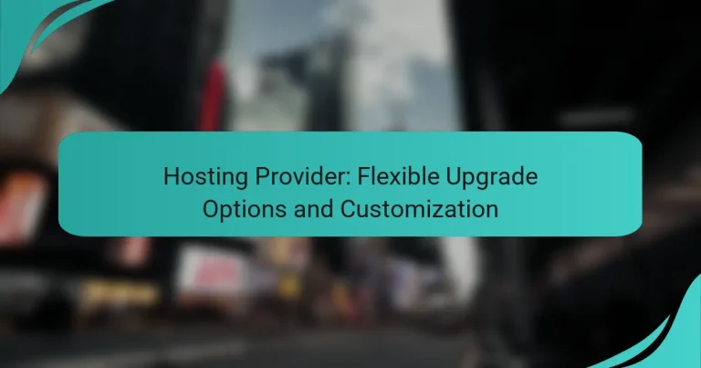 Hosting Provider: Flexible Upgrade Options and Customization