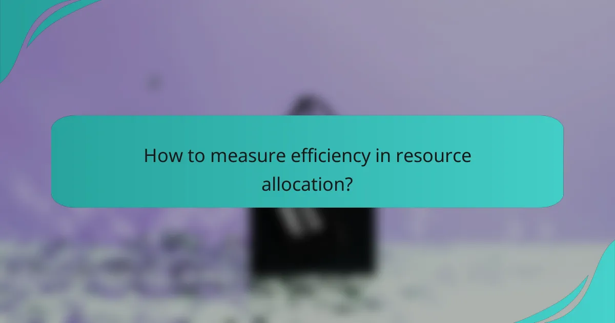 How to measure efficiency in resource allocation?